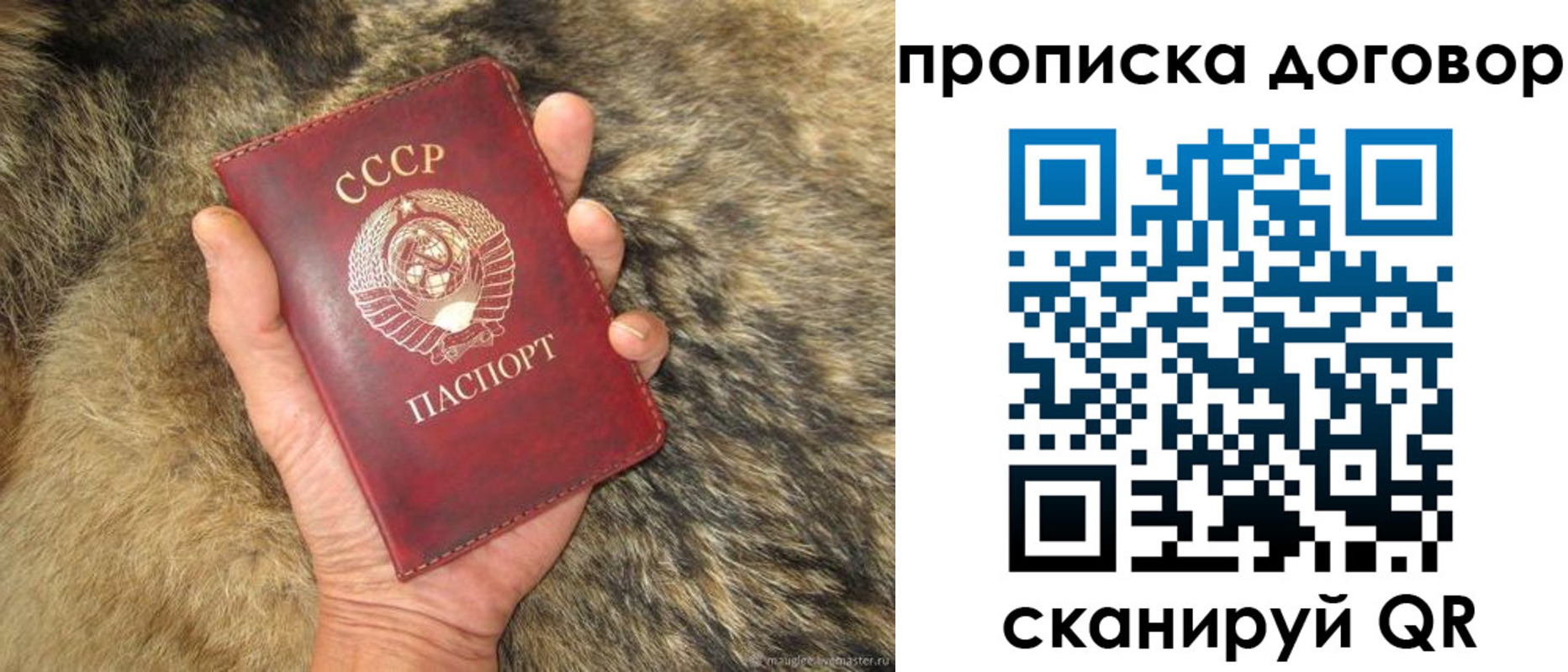 прописка регистрация в Красном Куте